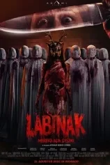 Poster Labinak